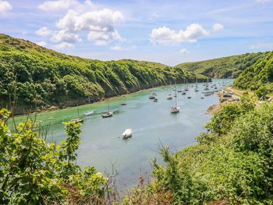 A view of a harbor with boats and green hills at Park Hall Cottage in Solva