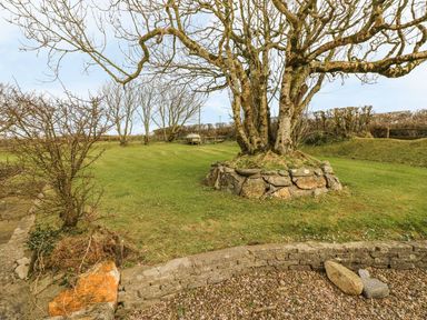 A garden with a tree and grass at Maerdy Lodge 