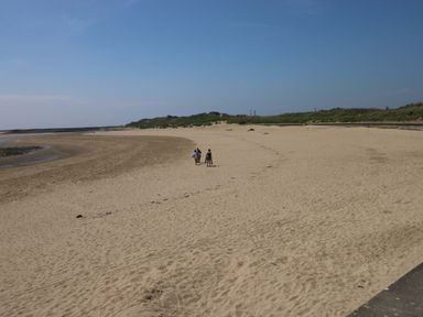 A beach with children walking on the sand at Y Bwthyn Burry Port