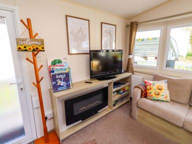 A living room with a sofa and television at Sunflower Retreat, Caravan 61