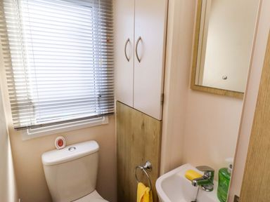 A bathroom with a toilet and sink at Sunflower Retreat, Caravan 61