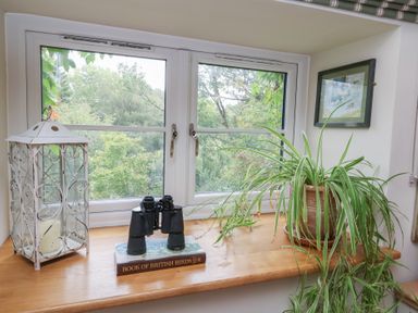 A window with binoculars and a book at The Bothy at Lewis Cottage in Spreyton