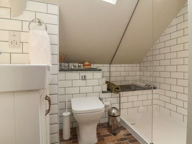A bathroom with a sink, toilet, and shower at The Bothy at Lewis Cottage in Spreyton