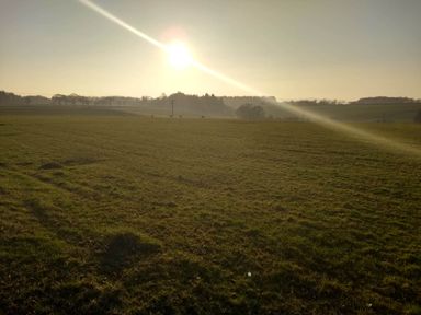 A field with sun setting behind trees and power lines at Cleeves Cabins 2, Arran Luxury Lodge with hot tub, St. John's Town Of Dalry