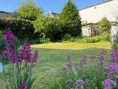 A garden with flowers and grass at Lorrell in Salcombe