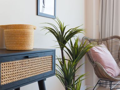 A living room with a plant and a basket at Anchors Rest in St. Ives