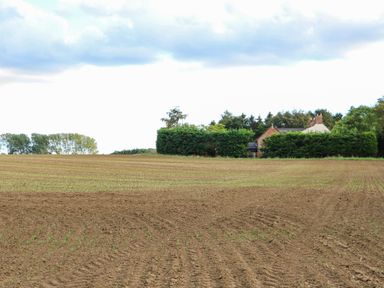 A house surrounded by trees and a field at Bramley Cottage in Worlingham