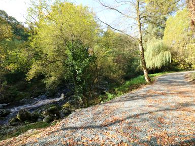 A scenic pathway beside a stream with trees and rocks at The Mews @ Suskar, Laragh, County Wicklow