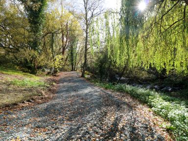 A path through trees with a stream at The Mews @ Suskar Laragh, County Wicklow