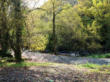 A natural setting with trees and a stream at The Mews @ Suskar, Laragh, County Wicklow