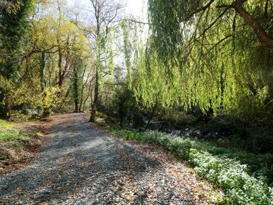 A gravel path surrounded by trees near a stream at The Mews @ Suskar Laragh, County Wicklow