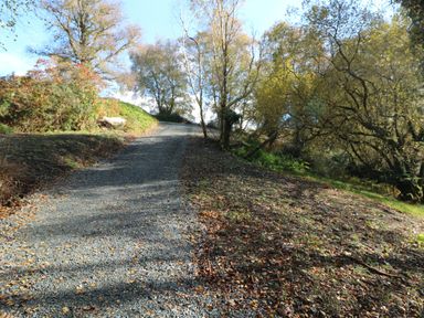 A gravel path leading uphill surrounded by trees at The Mews @ Suskar, Laragh, County Wicklow