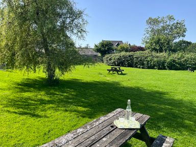 A garden with a table and glasses near a tree at Warbler Cottage near Cowbridge