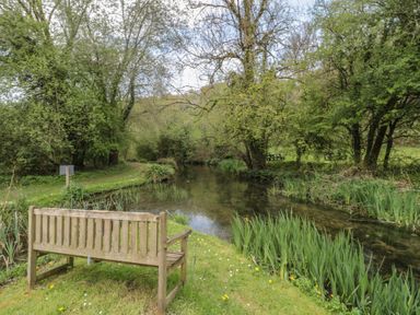 A bench near a river surrounded by trees and plants at Longfords Mill near Nailsworth