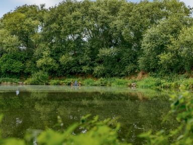 A pond with trees and benches at Pine Lodge Spa Carlton Miniott near Thirsk