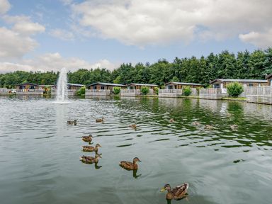 An outdoor area with a lake and wooden cabins at Pine Lodge Spa Carlton Miniott near Thirsk