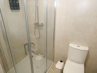 A shower and a toilet at Marie's Country Home, Ardee, County Louth