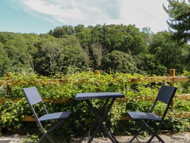 A table and chairs on a patio surrounded by greenery at The Mill Barn in Lustleigh