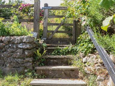 A gate and stone steps leading up to a garden at The Mill Barn in Lustleigh