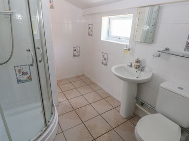 A bathroom with a shower, sink, and toilet at Daffodil Cottage in Blaencwm near Treorchy