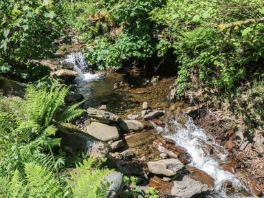 A stream with rocks and ferns at Daffodil Cottage Blaencwm near Treorchy
