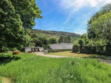 A house surrounded by trees and grass at Daffodil Cottage in Blaencwm near Treorchy