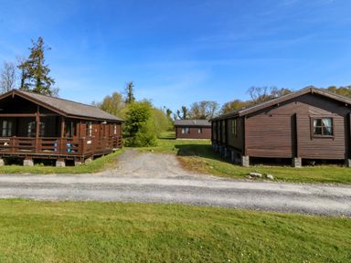 Cabins surrounded by grass and trees at Lodge 2 - Bron Eifion 