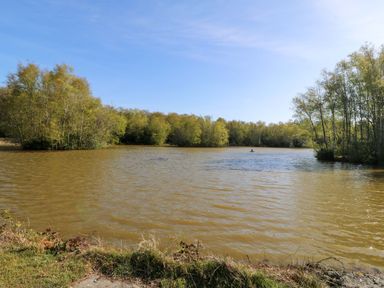 A lake surrounded by trees at Lodge 2 -  Bron Eifion