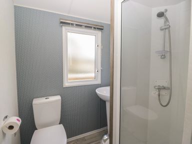 A bathroom with a shower and a toilet in Standard Caravan at Three Lochs Holiday Park Newton Stewart