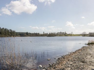 A lake with trees and rocks at Standard Caravan at Three Lochs Holiday Park Newton Stewart