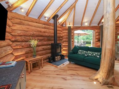 A living room with a fireplace and a sofa at Copper Suite in Chulmleigh