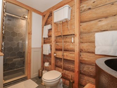 A bathroom with a shower and toilet at Copper Suite in Chulmleigh