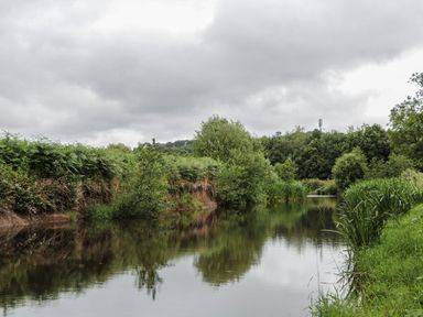 A river surrounded by vegetation at Copper Suite, Chulmleigh