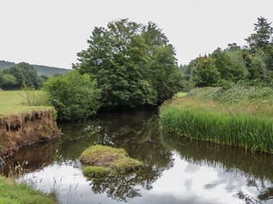 A river surrounded by trees and grass at Copper Suite in Chulmleigh