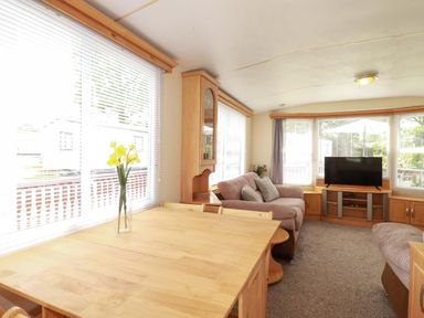 A living room with a sofa and television at Beech Lodge in Wadebridge