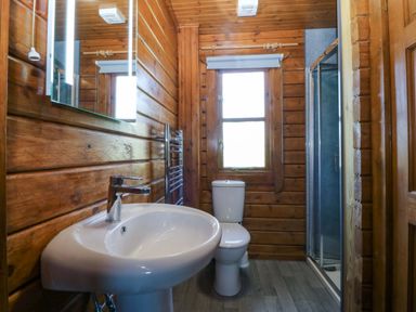 A bathroom with a sink, toilet, and shower at Lodge 6 - Sleep 4 - Twin and Double in Criccieth