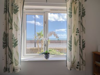 A window with an orchid plant and curtains at 2 Lyme Mews Seaton