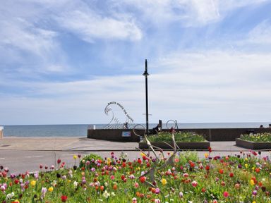 A view of flowers and a sculpture near the sea at 2 Lyme Mews Seaton