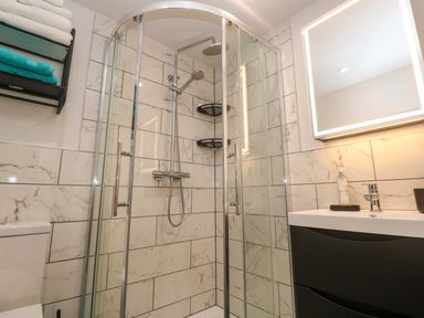 A bathroom with a shower, toilet, and sink at The Annex in Penzance