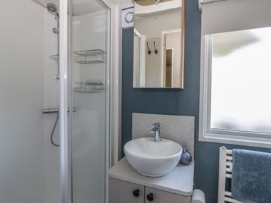 A bathroom with a shower and sink at Santa Maria in Llandysul