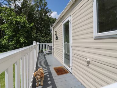 A deck with a dog and chair at Forest Retreat - FO26 in Saxmundham