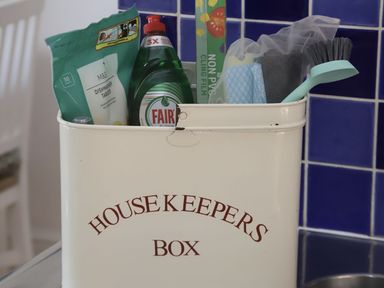 A container with cleaning supplies in a kitchen at Dart Views Dartmouth