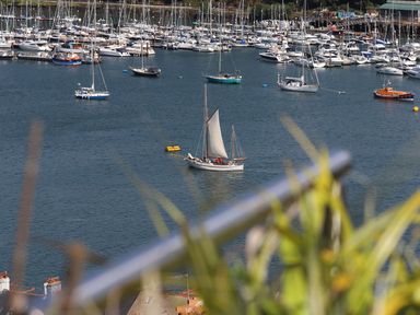 A marina with various boats and a sailboat on the water at Dart Views in Dartmouth
