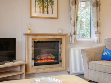 A living room with a fireplace and television at Bingos Cabin in Holt