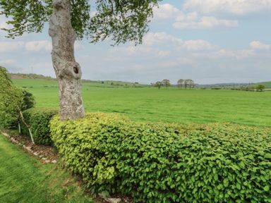 A field with a tree and hedge at Plot 34 Carlisle