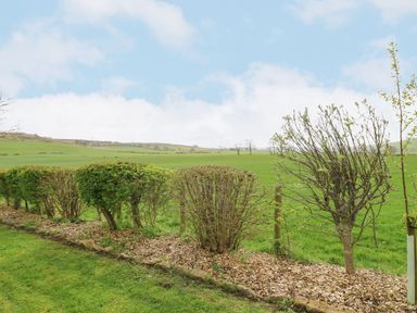 A garden view with hedges and trees at Plot 34 in Carlisle