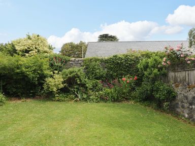 A garden with grass and various plants at The Headmasters Quarters in Chudleigh