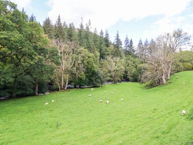 A field with sheep grazing near a river at Hafanedd in Betws-y-Coed