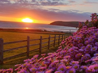 A sunset over the ocean with flowers and a fence at Dingle Dell in Croyde
