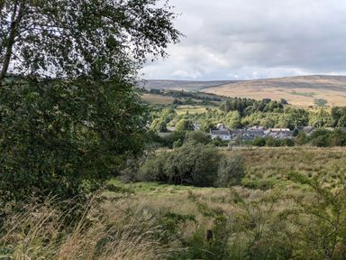 A view of houses and hills with trees at Pet Friendly - Lodge at Riverview Holiday Park, Mangerton near Newcastleton